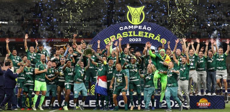 Palmeiras: campeão no vacilo botafoguense
