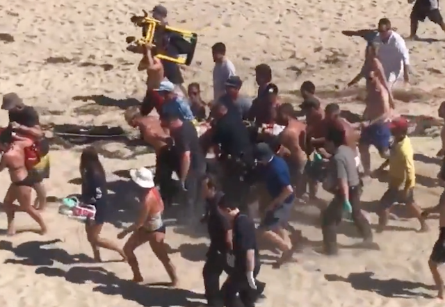 BRASILEIRO morre em ataque de tubarão no Cape Cod