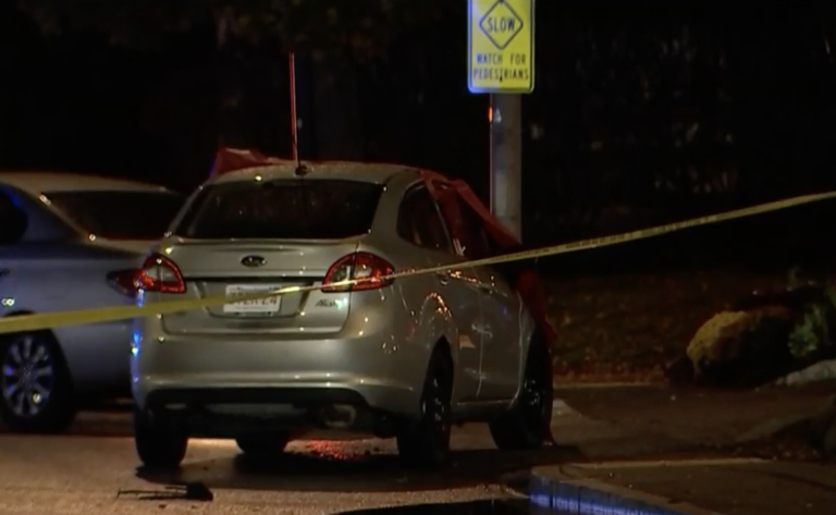 Brasileiro indocumentado e sem habilitação, atropela e mata idoso em Medford